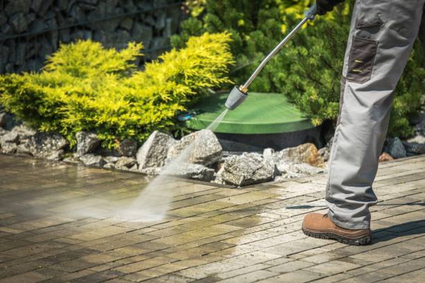Best Oil Spill Cleanup  in Immokalee, FL